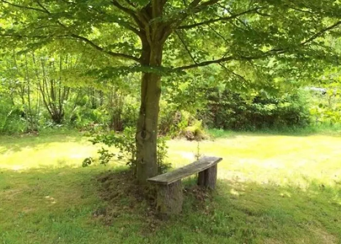 Apartamento Haus Annenberg Monzelfeld